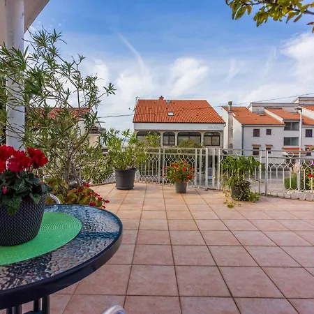 In 5244 * 크리크베니카